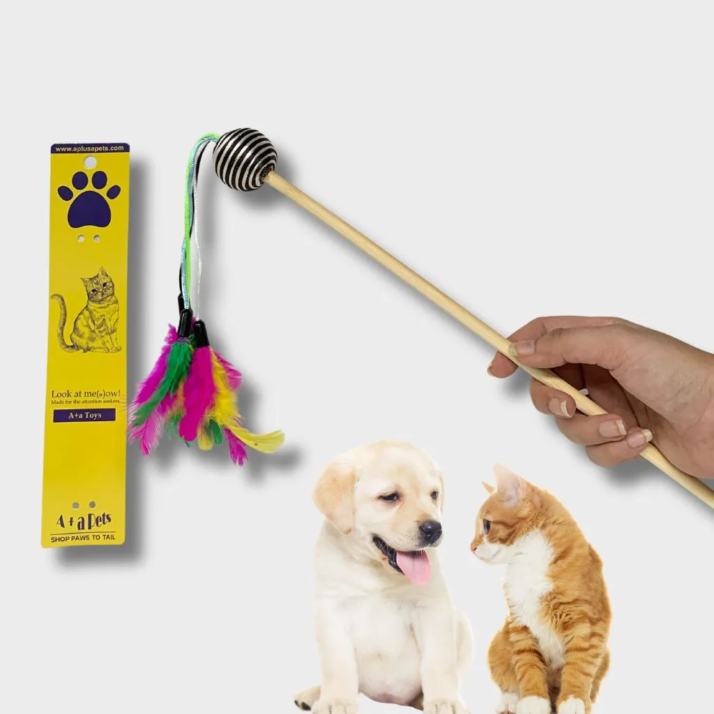 A a Pets' Cat Wand Teaser Interactive Toy with Round Feather Play - Black