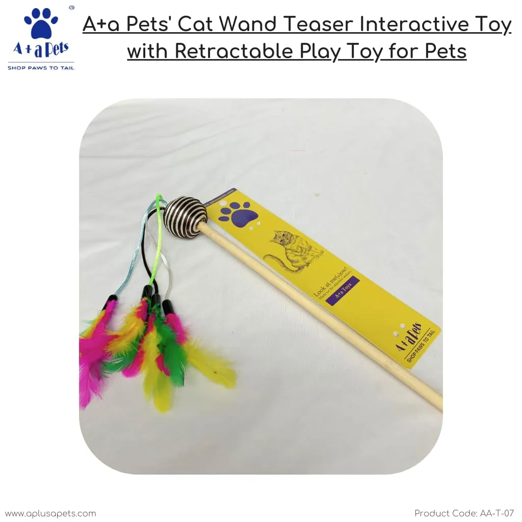 A a Pets' Cat Wand Teaser Interactive Toy with Round Feather Play - Black