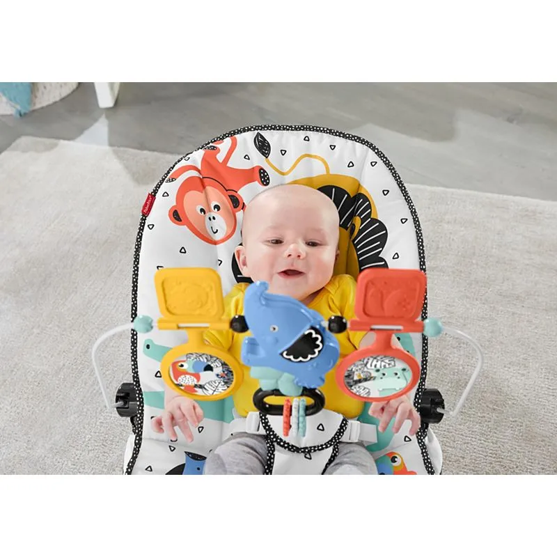 Baby's Bouncer