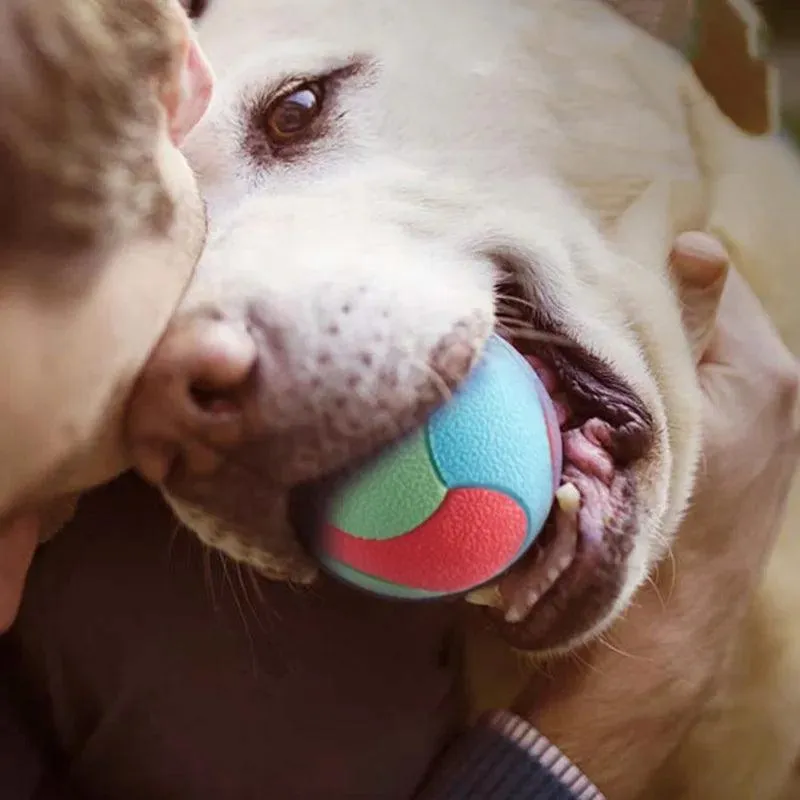 Bite-Resistant Bouncy Ball Toys for Pet Dogs