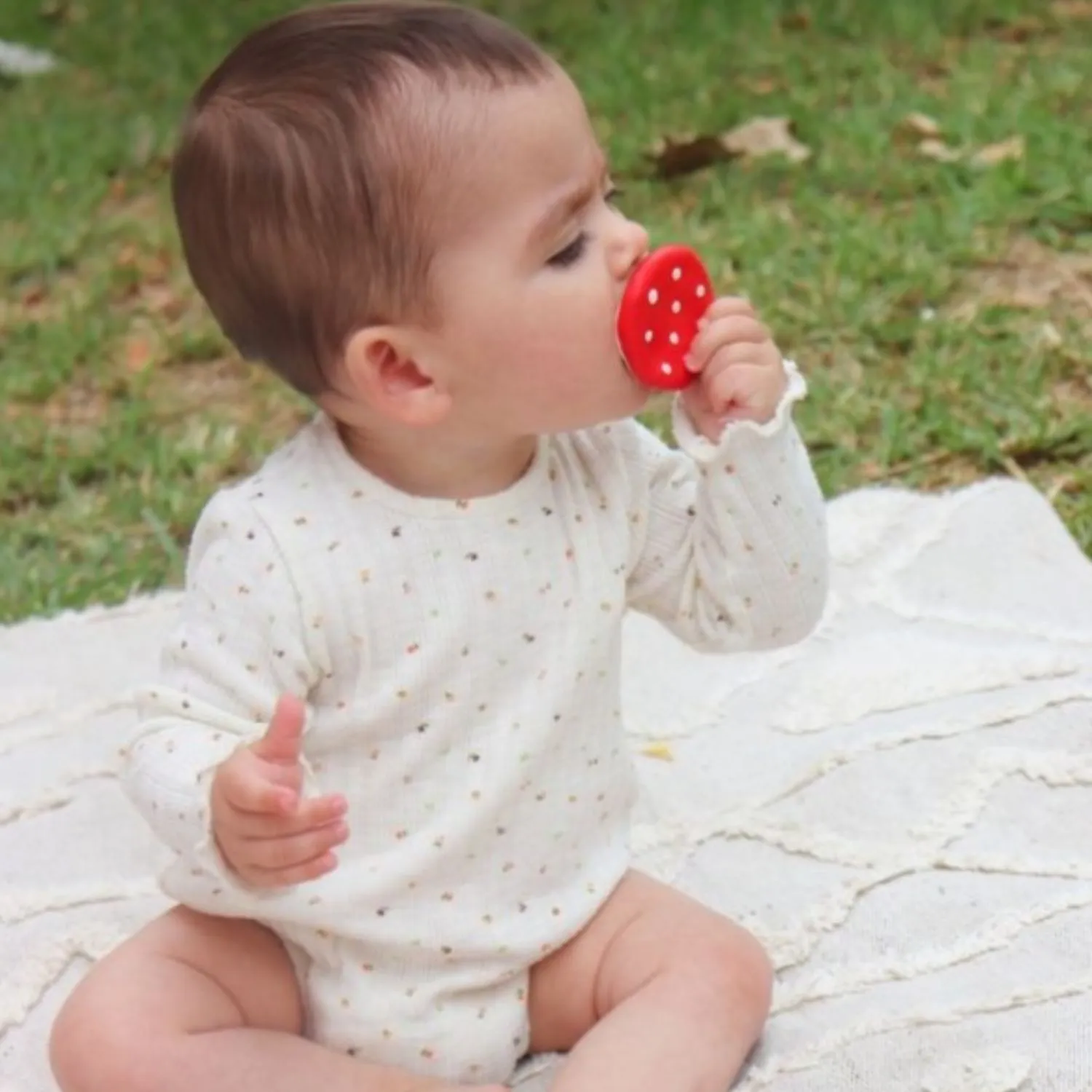 Brucy The Broccoli   Spotty The Mushroom Chewy Teether