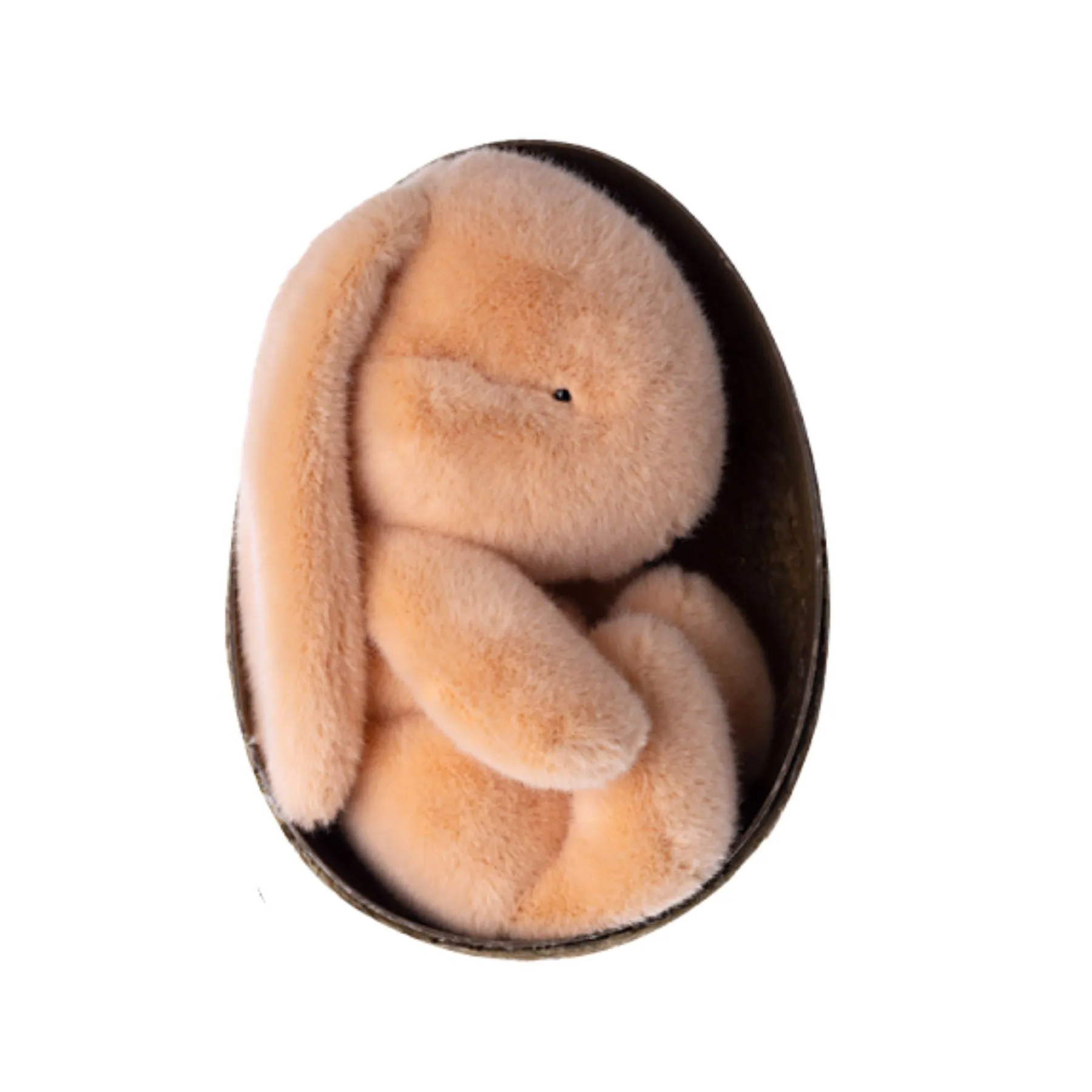 Bunny Plush in Egg