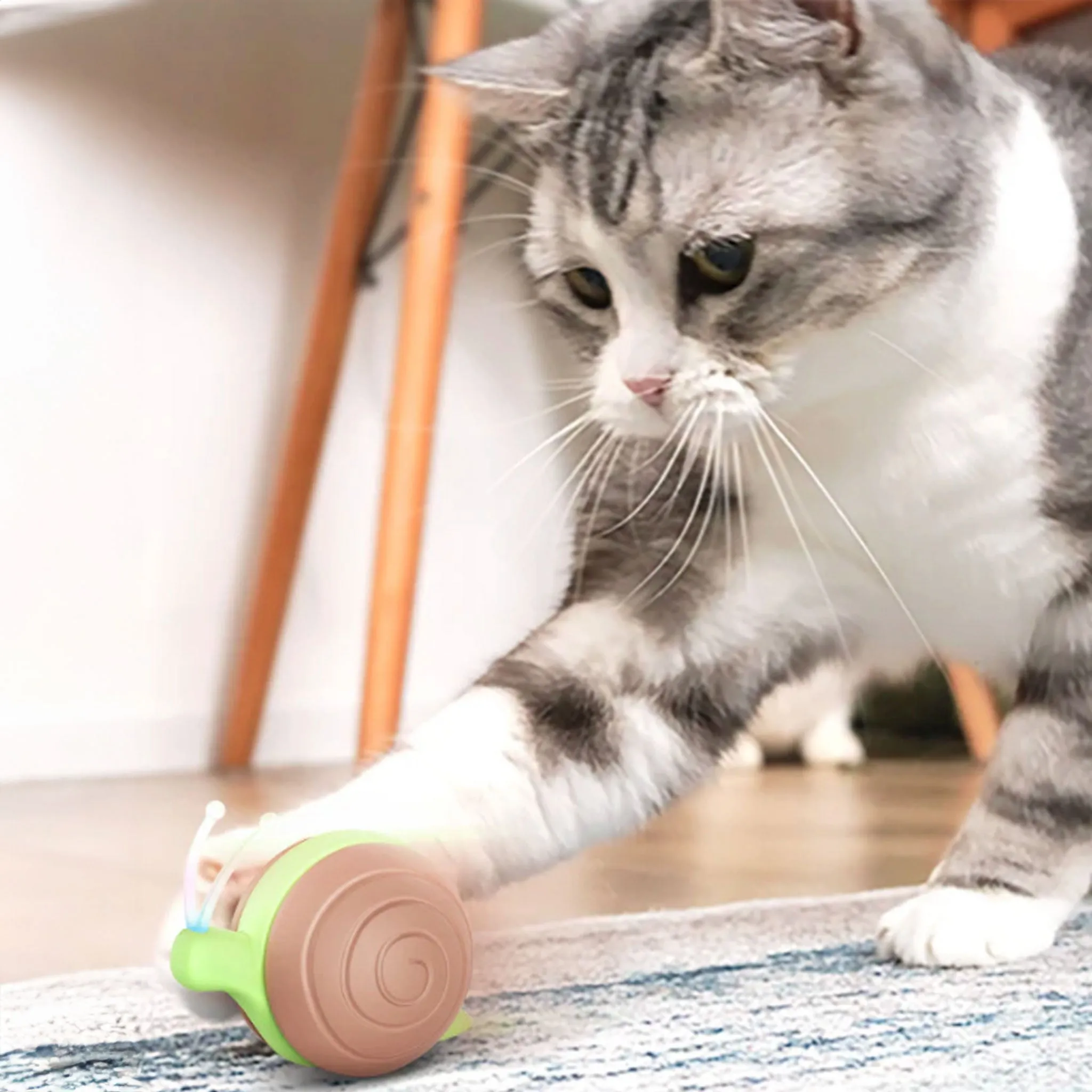 Cheerble Wicked Snail Cat Toy