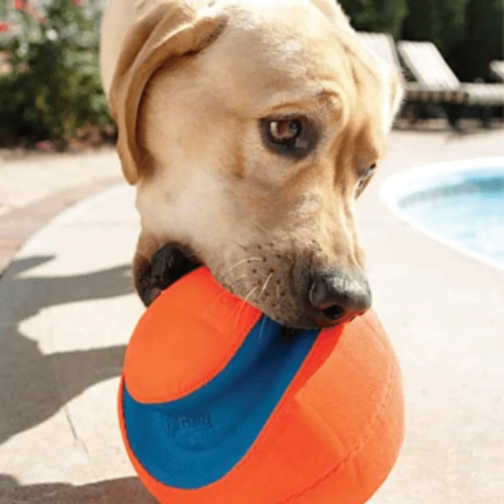 Chuckit! Kick Fetch Durable Outdoor Ball Toy for Dogs in Vibrant Orange Color