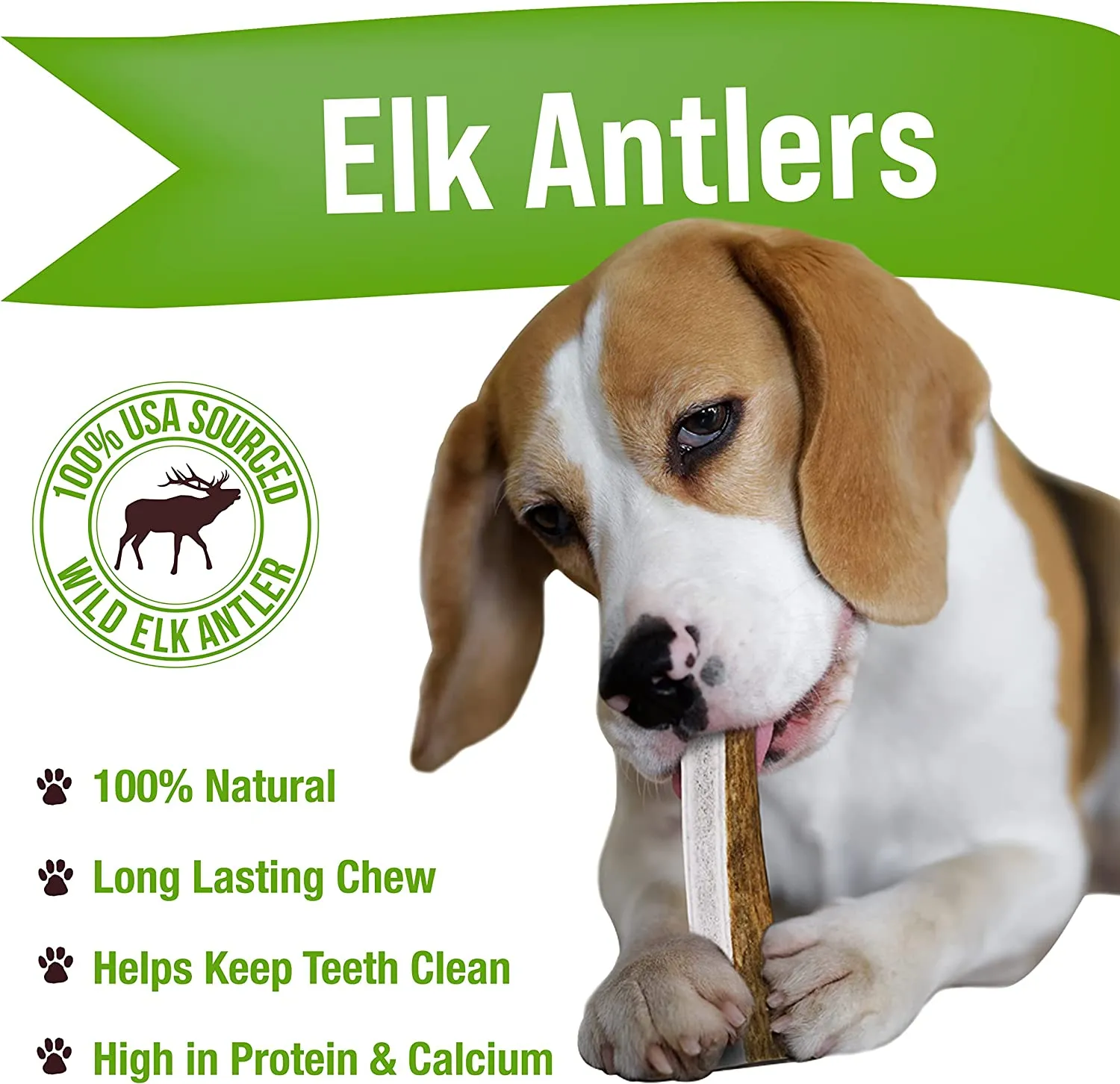 Elk Antlers For Dogs, Premium Grade A - Naturally Sourced From Shed Antler, Large Split Antlers 6-8" In Length, Made in the USA