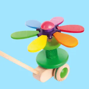 Flower Push Toy