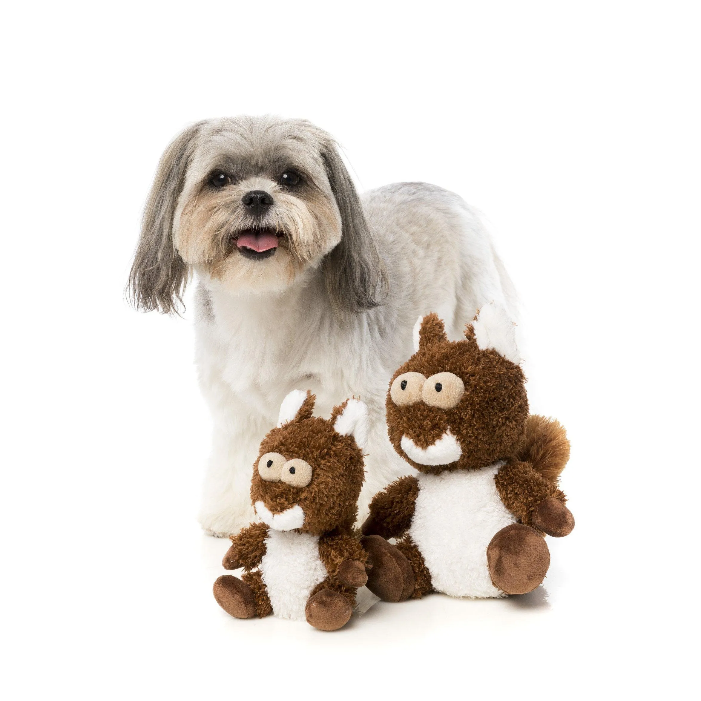 FuzzYard | Nuts the Squirrel Plush Dog Toy - Plush Dog Toy