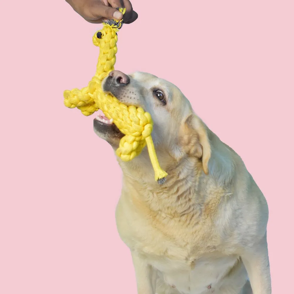 Giraffe Rope Toy