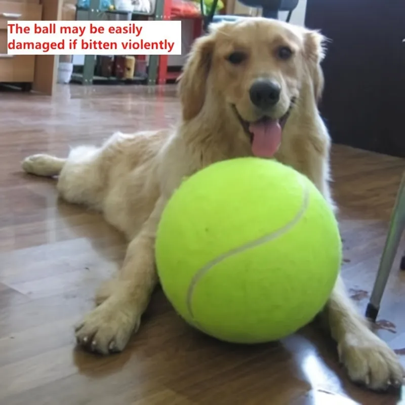 Interactive Dog Toy 1pc 24cm Pet Tennis Ball Thrower