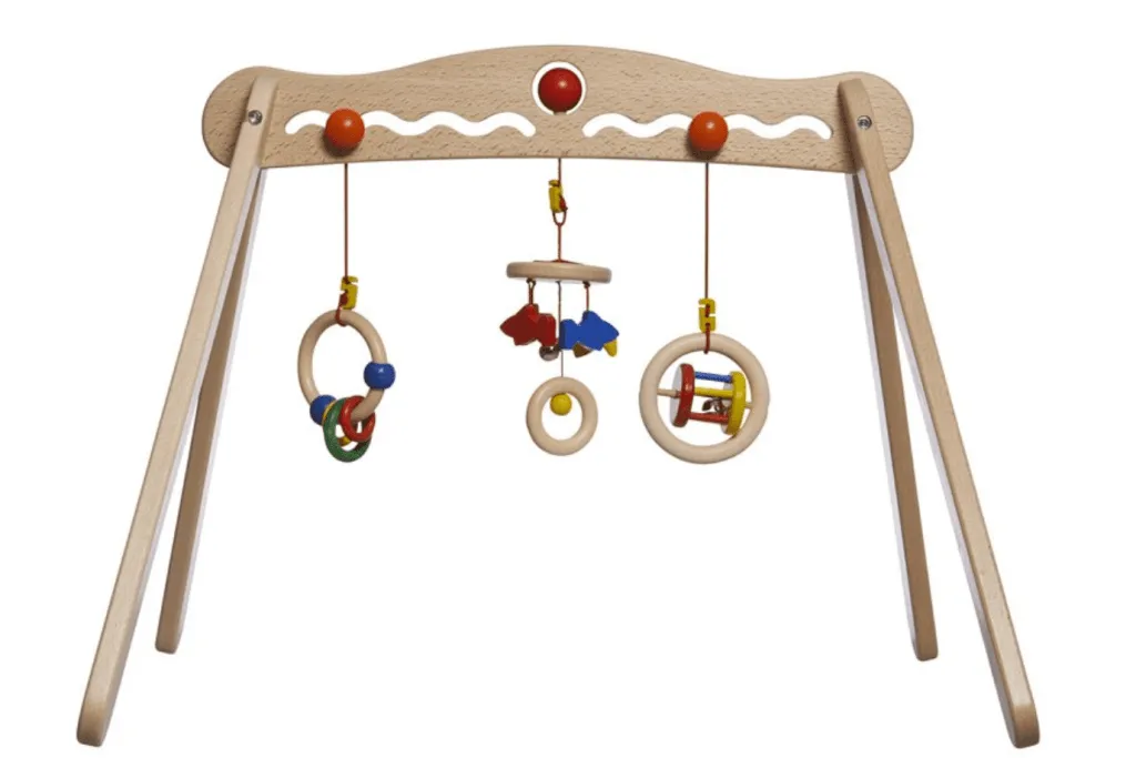 Natural Play Gym with Wooden Toys