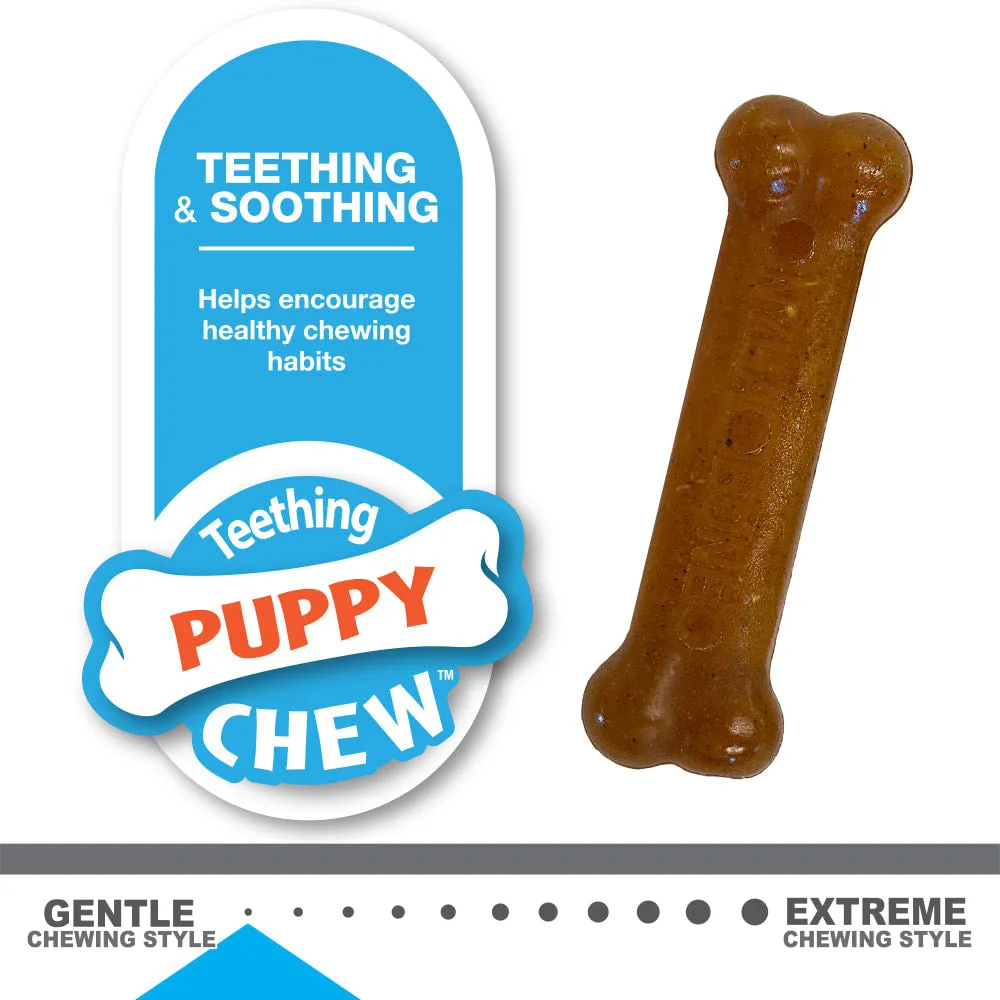 Nylabone Puppy Bone Variety Dog Toys Petite 2 Pack