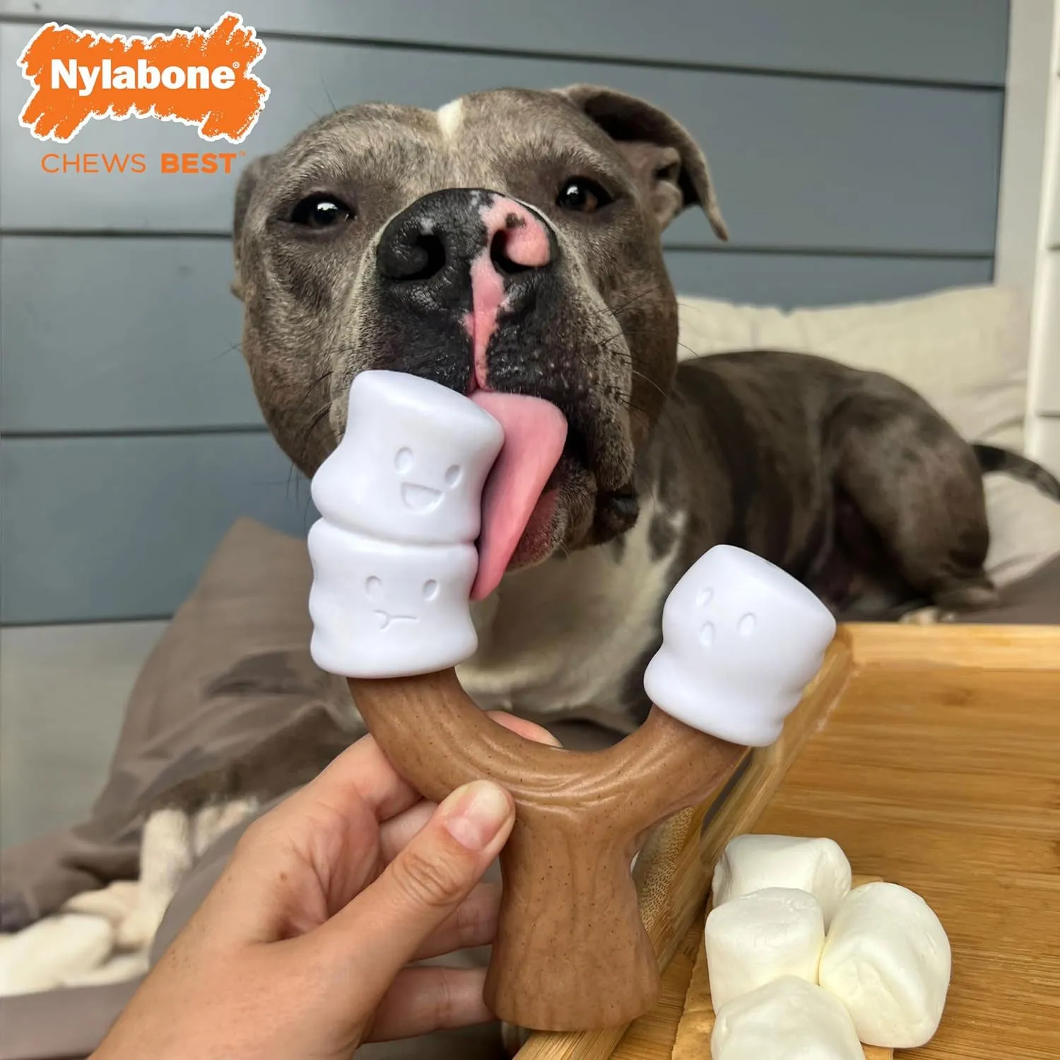 Nylabone Strong Chew Marshmallow