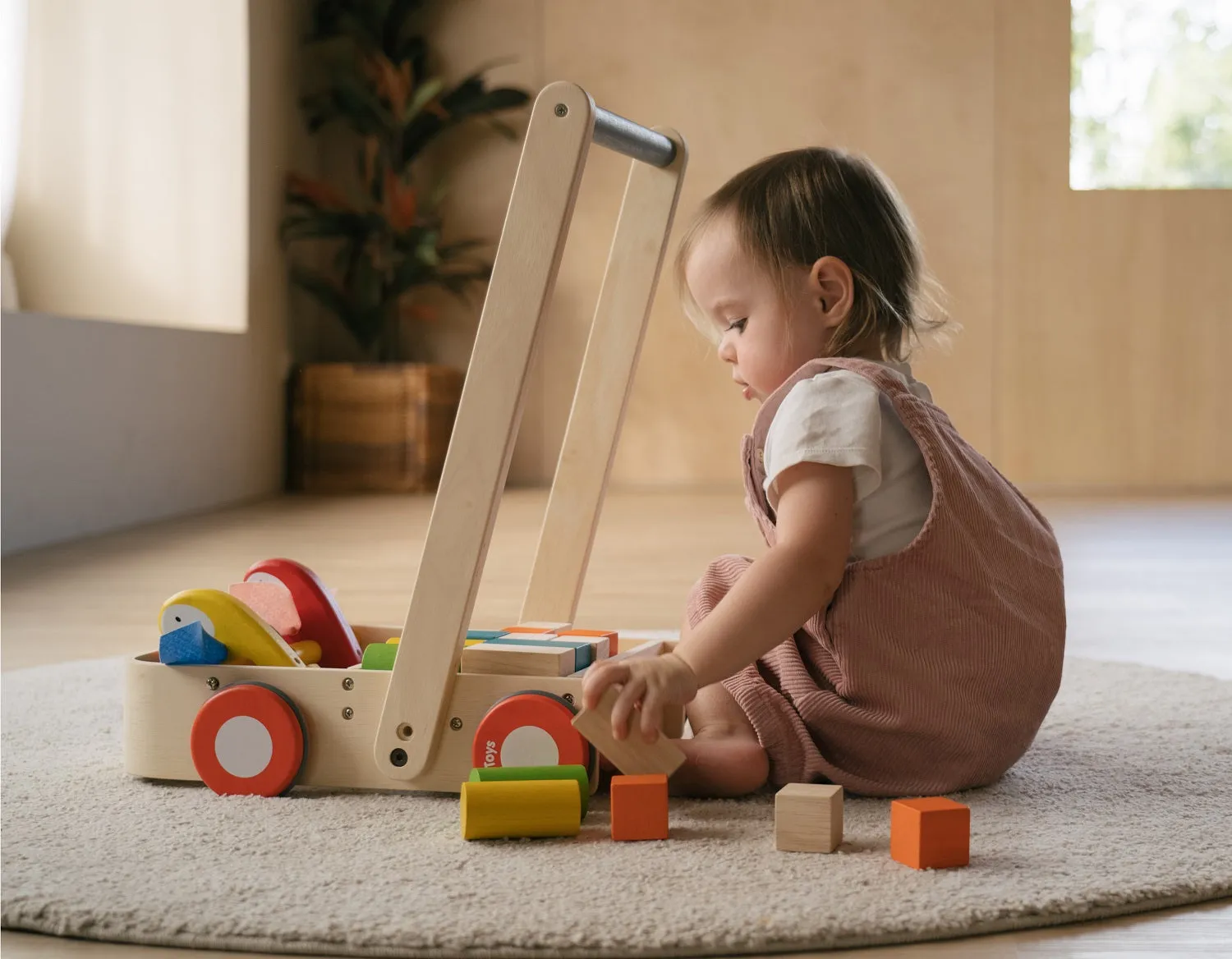 Plan Toys Bird Walker