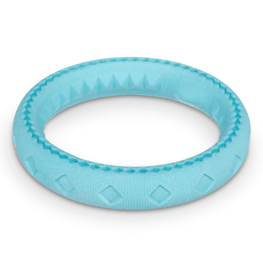 Totally Pooched Chew and Tug Ring Teal Toy for Dogs