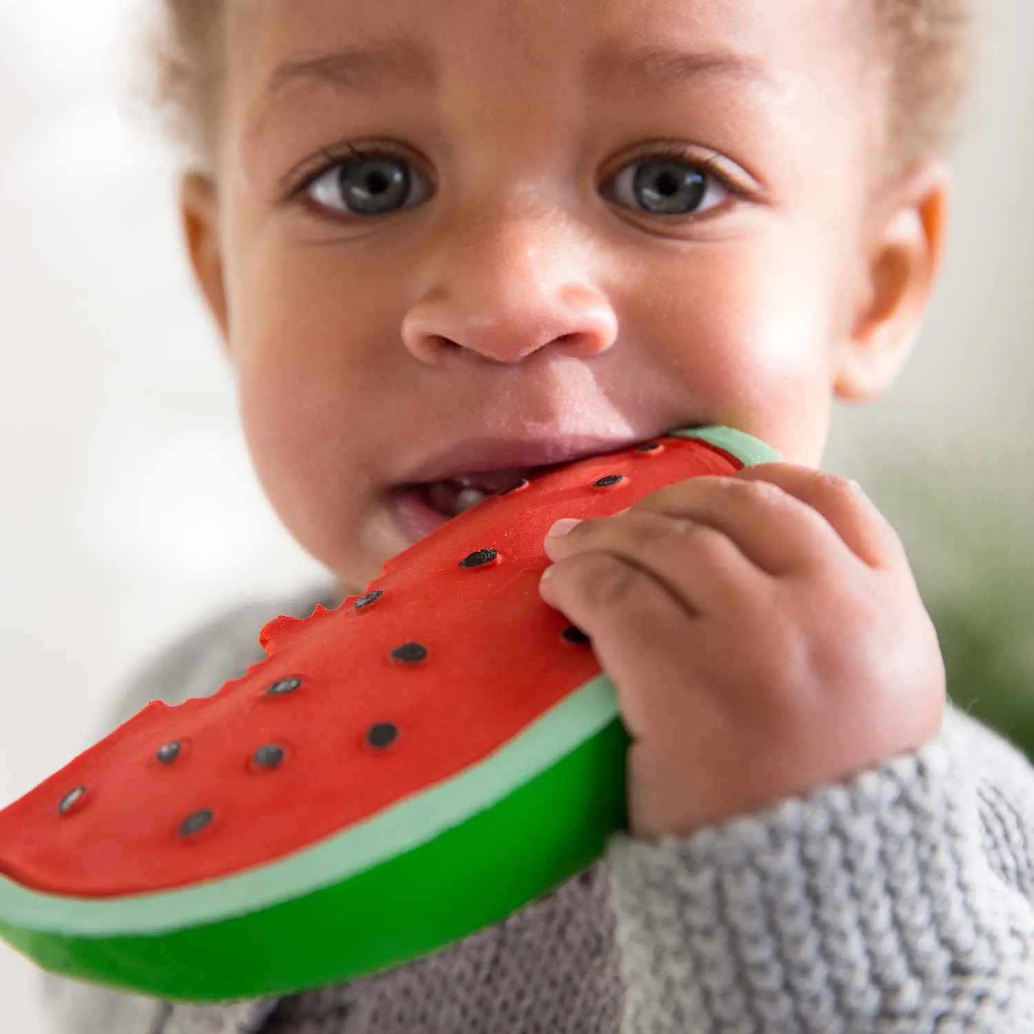 Wally the Watermelon Baby Teether