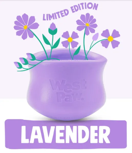 West Paw Toppl S Lavender